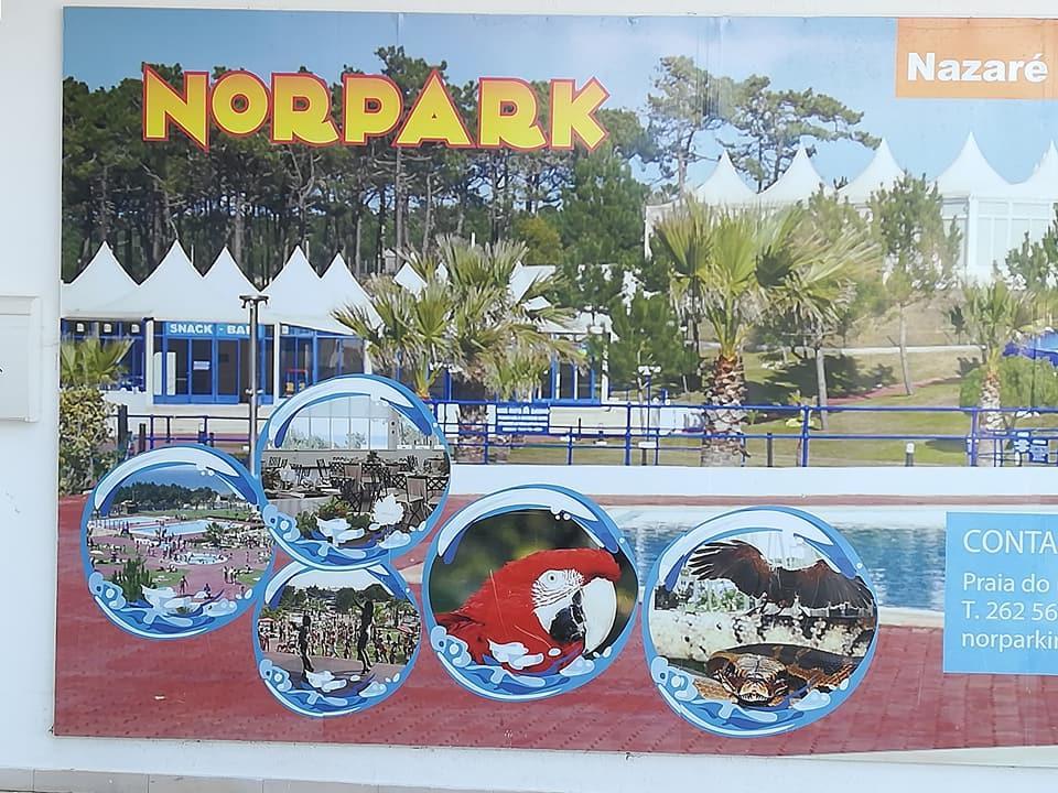نازاريه B&B O Pescador المظهر الخارجي الصورة